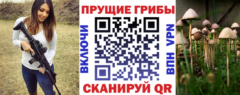 Купить где  Хилок  Псилоцибиновые грибы Cubensis 